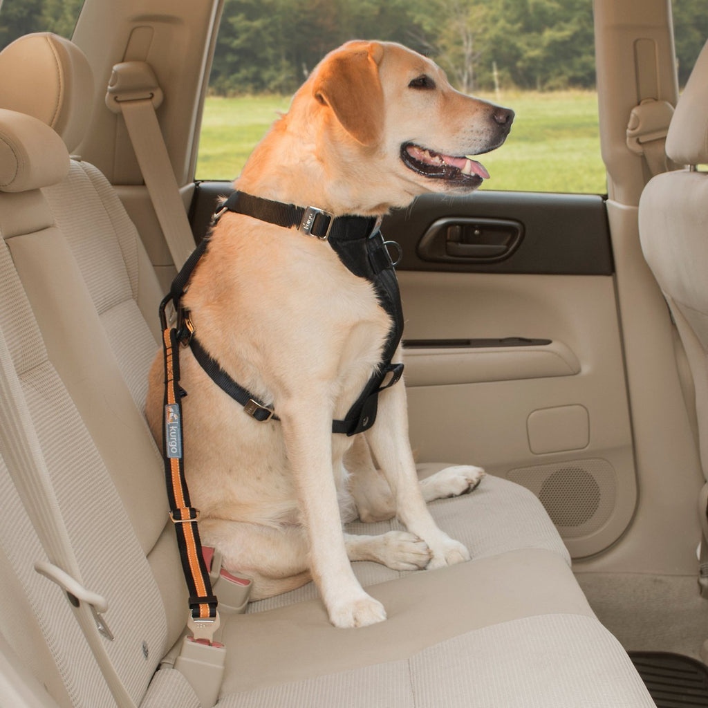 Free Pet Car Seat Belt