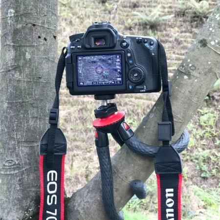 Octopus mini tripod